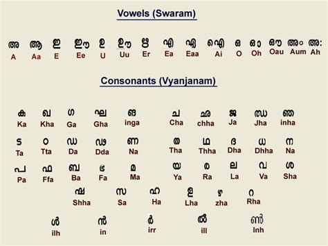 telugu to malayalam learning|telugu to malayalam translation.